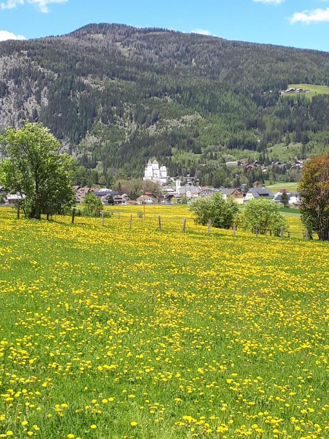 Apartment Haus Dengg Mauterndorf  Buitenkant foto